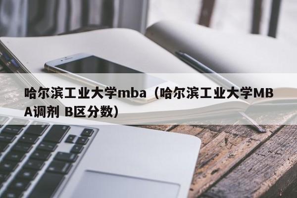 哈尔滨工业大学mba（哈尔滨工业大学MBA调剂 B区分数）